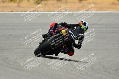 media/May-16-2025-2WTD (Fri) [[87c82739e1]]/B Group/Session 4 (Turns 7 and 8)/